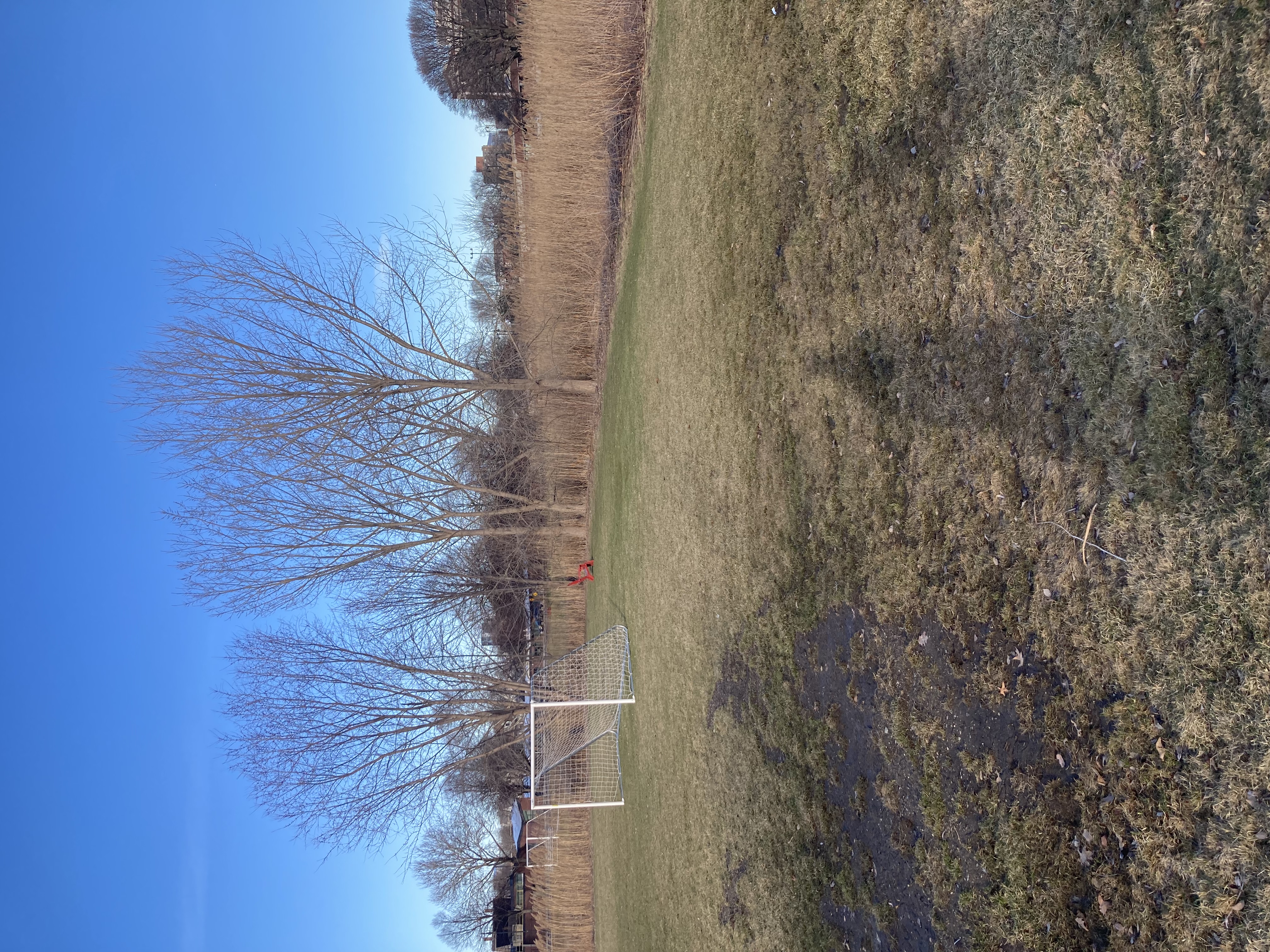 Recreational fields and soggy grass.