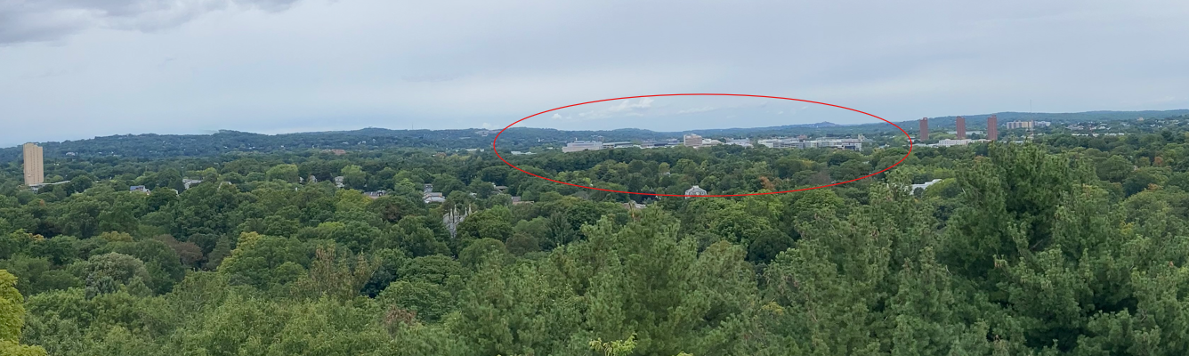 The Alewife development area
